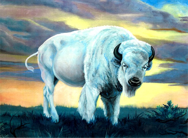 White Buffalo