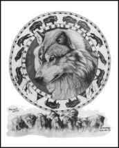 Buffalo Wolf