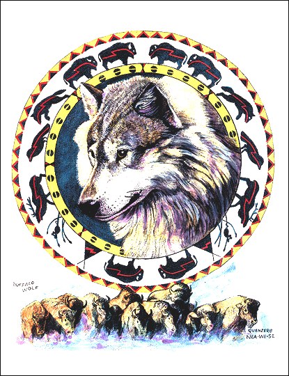 Buffalo Wolf