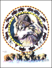 Buffalo Wolf