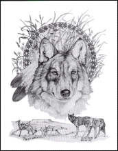 Prairie Wolf